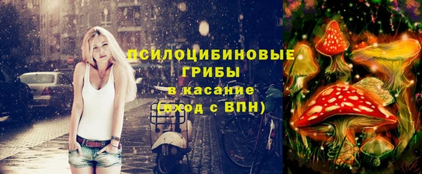 прущие крисы Богородицк