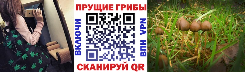Галлюциногенные грибы прущие грибы  сколько стоит  Верхотурье 